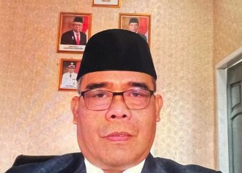 Hendri Jumiral Kepala Dinas Penanaman Modal dan Pelayanan Terpadu Satu Pintu Kabupaten Batang Hari