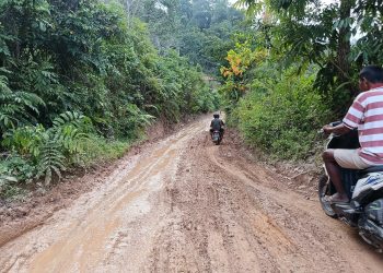 Gambar : Dokumen Lapangan di ambil oleh Beni Rustandi