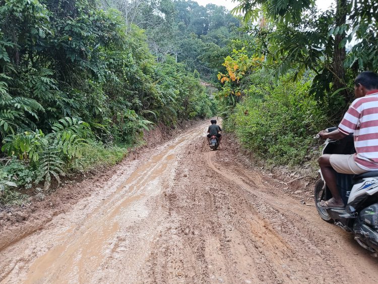 Gambar : Dokumen Lapangan di ambil oleh Beni Rustandi